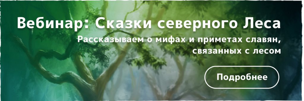 Цветок папоротника: значение оберега и символа