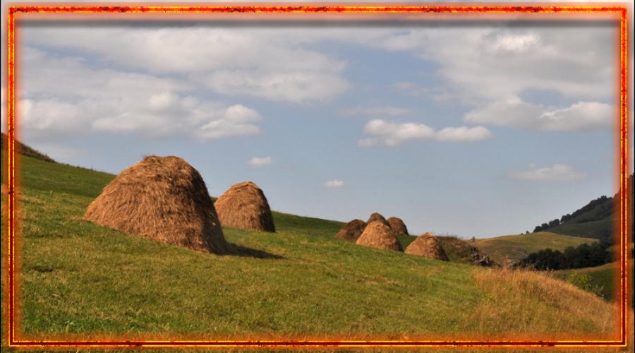 Сноп, сбор уожая, славянские праздники урожая, спожинки, дожинки