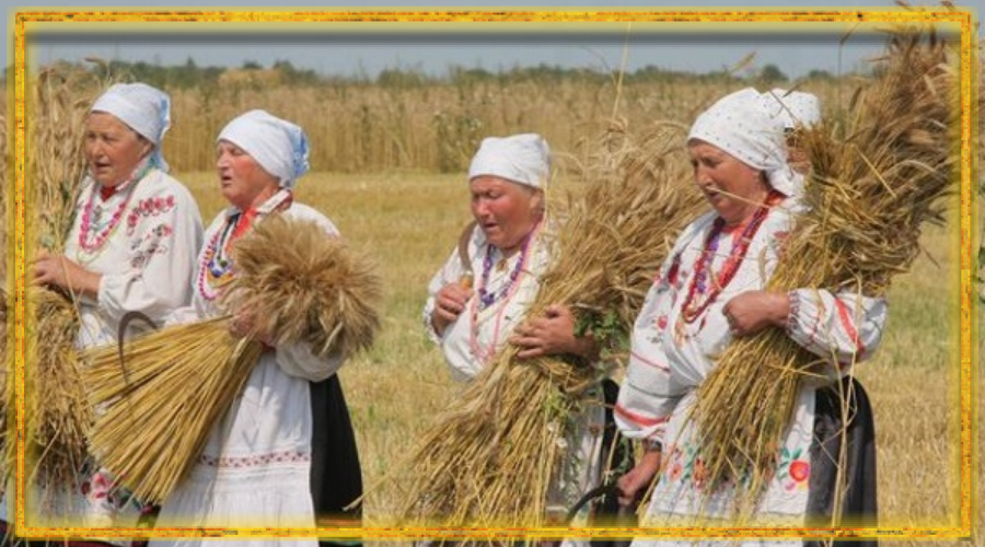 сбор урожая, славянский авсень